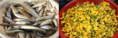 dulich4phuong.net  Đặc sản cá linh mùa nước nổi miền Tây Đặc sản cá linh mùa nước nổi miền Tây